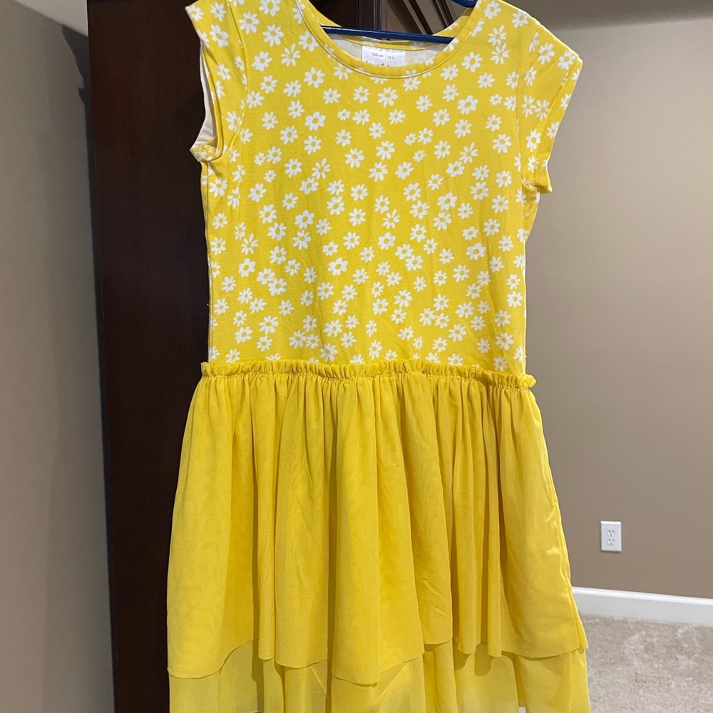Hanna Andersson tulle dress